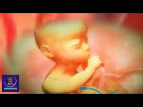 Calm and Relax Baby In Mother's Womb