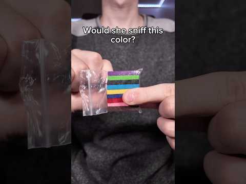 Color Sniffing 💨👃