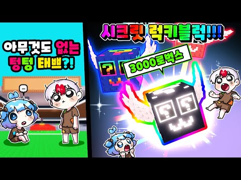 [로블록스] 브레인 롯 훔치기 시크릿 등급 럭키블럭 업데이트? 아무것도 없는 뉴비 바로 현질해버렸다!