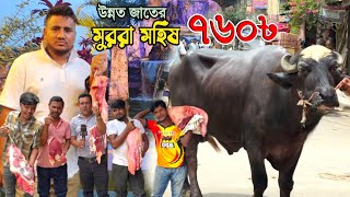 মুররা জাতের মহিষের মাংস ৭৬০ টাকা! buffalo meat price 