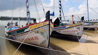 Flores do Tejo - pintores de embarcações tradicionais do Tejo
