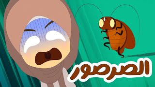 الصرصور - الحشرة المرعبة | معلومات عن الصراصير للأطفال - كيف ماذا ولماذا (الحلقة 4)