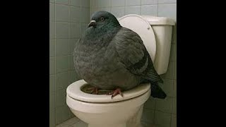 Why Pigeons Would Dominate in Chess