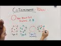 Blood Types and Genetic Inheritance