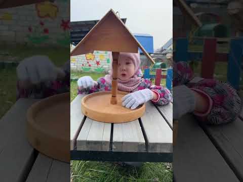 14 октября 2025 г.