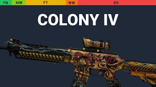 SG 553 Colony IV Wear Preview