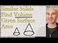 Volume and Surface Area Ratios