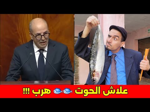 عاجل ....هدا هو سبب هروب السمك من المغرب☠️😱😱😱😱