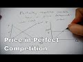 Perfect Competition Concepts and Implications