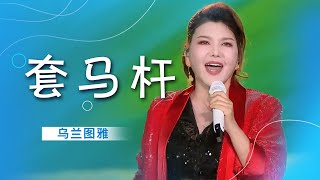 乌兰图雅唱响《套马杆》歌声嘹亮 豪情万丈震撼心灵 [精选中文好歌] | 中国音乐电视Music TV