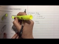 Understanding Prisms and Their Properties