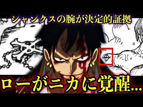 【ローとニカ】シャンクスの左腕から分かるローとニカの関係性#onepieceid