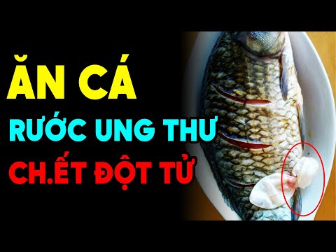 BS CẢNH BÁO: Thèm Đến Mấy Cũng Đừng ĂN CÁ Kiểu Này Kẻo Hỏng Hết Gan Thận, Đột Tử Tức Thì