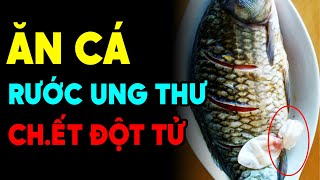BS CẢNH BÁO: Thèm Đến Mấy Cũng Đừng ĂN CÁ Kiểu Này Kẻo Hỏng Hết Gan Thận, Đột Tử Tức Thì