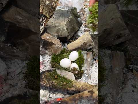 😮Wow! It was cool! #camping #survival #bushcraft #outdoors #cook #cooking