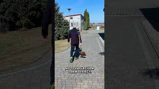 Czy pompa ciepła wygrywa z kotłem na węgiel?