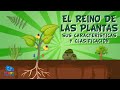Understanding Plants