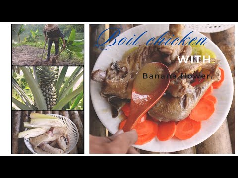 ដុតមាន់ត្រយោងចេក . Chicken Boil In The Farm.