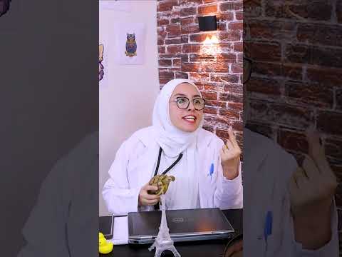 دكتورة بيطرية على ما تفرج ( حلقة السلحفاء)