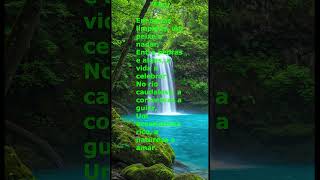 Rio #poemasepoesias #poesias