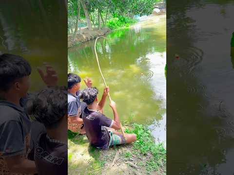 Amazing fish #fishing #bigfish #village #viral #tranding