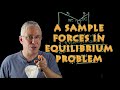 Forces in Equilibrium Problems