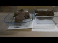 Ice Melt Experiment Observations
