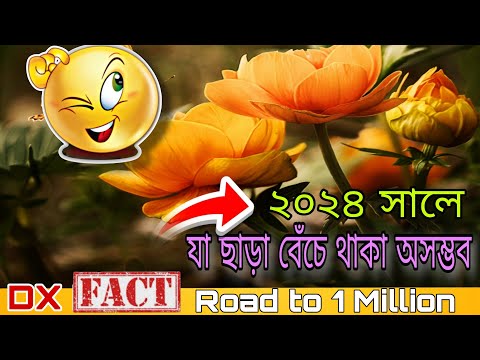 ২০২৪ সালে যা ছাড়া বেচে থাকা অসম্ভব। Fact video 2024