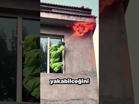 Arılara Karşı En Kötü Plan!