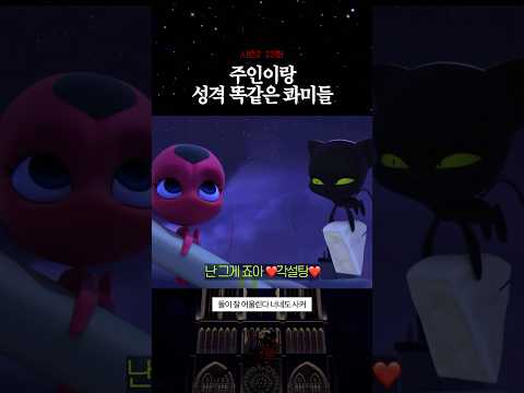 주인이랑 성격 똑같은 콰미들