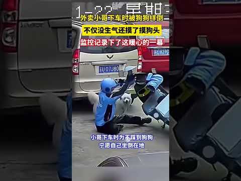 监控记录下暖心一幕！外卖小哥下车时被狗狗绊倒，不仅没生气还摸了摸狗头。 #传递温暖  #看中國