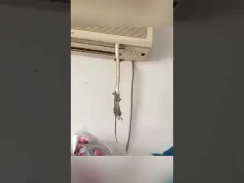 I just moved into this house ๐ญ๐ฉ