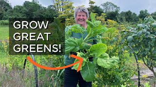 Top Tips for Planting Cabbage and Kale | Homegrown Food
