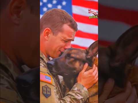 #usa #military #usairforce #airforce #aviation #army #fighter  #animals #dog