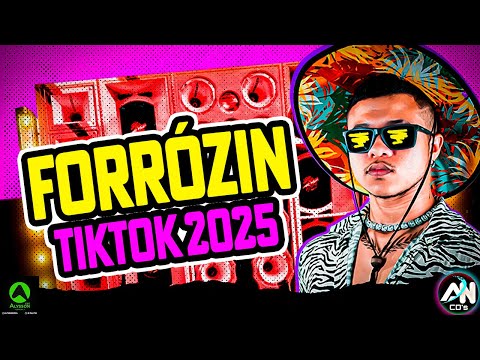 FORRÓZIN 2025 AS MELHORES - CD JUNHO 2K25 - AS MAIS TOCADAS TIKTOK PRA PAREDÃO - RAMONZIN LAPADA