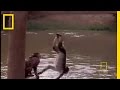 Snow Monkeys in Texas