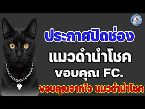 แมวดำนำโชค ขออำลา FC. ทุกคน (( ขอบพระคุณจากใจ))  ตลอดระยะเวลา 7 ปีที่ผ่านมา