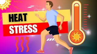 Stay Cool: Understanding Heat Stress