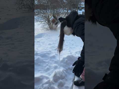 How i got this viral frozen hair 😅 | #indianbloggerincanada #canada #canadalife