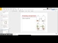 Photosynthesis Concepts and Discoveries