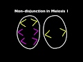 Nondisjunction and Chromosomal Disorders