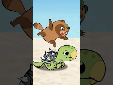 亀さんの甲羅は交換可能！？ #animation #cartoon  #turtleshell