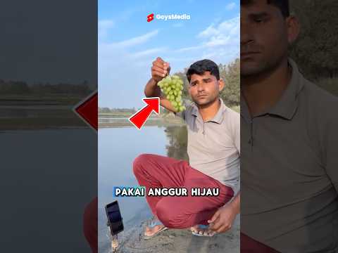 BERMODALKAN ANGGUR HIJAU ❗️VIRAL ❗️#shorts #shortvideo