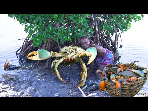 GIANT MUD CRABS HUNTING | களி நண்டு வேட்டை | Un Cut Video | Grandpa One Man Show