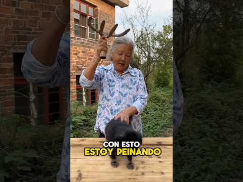 Un peine de madera para el cachorro de la abuela ☺️💞 #shorts