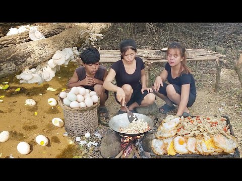 Yummy! Cooking mushroom with egg , Eating delicious in jungle, Survival cooking