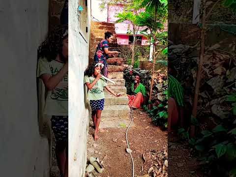 വൈകിട്ട്  ആറുമണി കഴിഞ്ഞാൽ ഞങ്ങളുടെ രാമനാഥനും നാഗവള്ളിയും ?????#shorts #subscribe