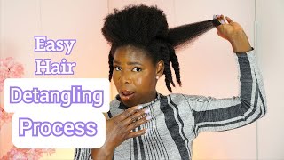 Natural Hair Detangling: How I Detangle My Hair | Quick & Easy Process