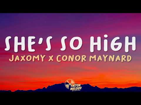 Jaxomy & Conor Maynard - She's So High (Lyrics)