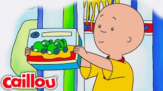 Caillou Roller Skates | Caillou's New Adventures - WildBrain | Learning for Children